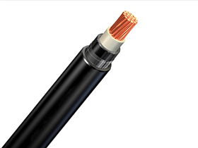 X1AV Cable