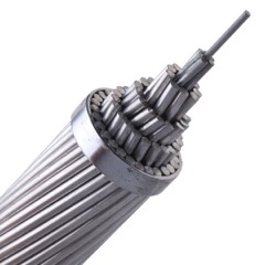 All Aluminium Alloy Conductors (AAAC)